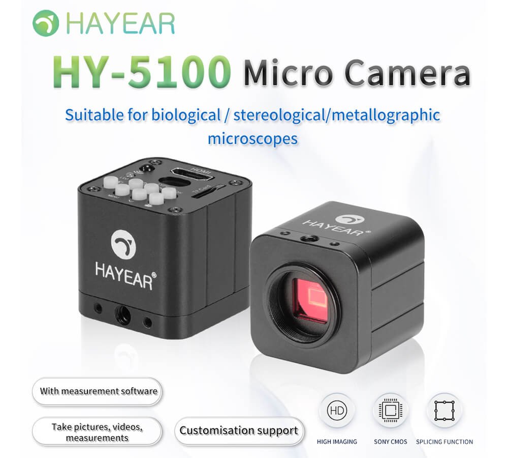 Hexaa 3